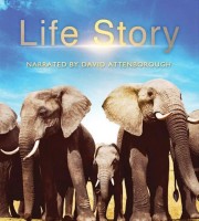 科普纪录片《生命的故事 Life Story 2014》全6集+全2集幕后 国英双语中英双字  1080P/MP4/26.8G 儿童科普纪录片下载