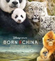 迪士尼纪录片《我们诞生在中国 Born In China》国英双语中英双字 高码收藏版 1080P/MKV/6.35G 中国的和谐生态