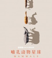 BBC纪录片《哺乳动物星球 Mammals 2024》全6集 国英双语中英双字 4K超清/2160P/MPKV/17G 哺乳动物星球