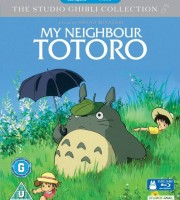 宫崎骏动画片《龙猫 My Neighbor Totoro 1988》国日粤英四语中字 720P/MKV/2.6G 宫崎骏动画全集下载