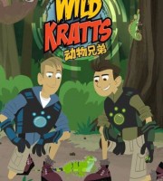美国益智动画片《动物兄弟 Wild Kratts》第四季全26集 国语版 720P/MP4/2.3G 动画片动物兄弟全集下载