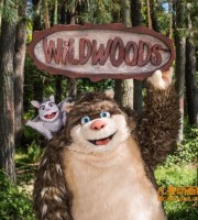爱尔兰动画片《快乐森林 Wildwoods》全26集 国语版26集+英文版26集 720P/MP4/6.89G 动画片快乐森林下载
