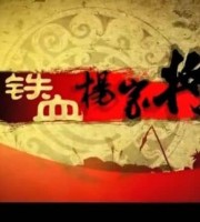 少儿动画片《铁血杨家将》全50集 国语版 480P/MP4/2.8G 动画片铁血杨家将下载