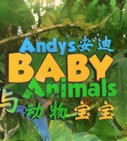 BBC科普动画片《安迪的动物宝宝 Andy's Baby Animals》全20集 国语中字 1080P/MP4/2.13G 儿童科普动画片下载