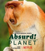 Netflix纪录片《怪诞星球 Absurd.Planet 2020》第1季全12集 英语中字 1080P/MP4/12.7G 地球上最不可思议的动物