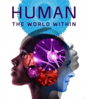 儿童科普纪录片《人类：体内的世界 Human: The World Within 2021》全6集 英语中字 1080P/MP4/19.4G 人体运作原理