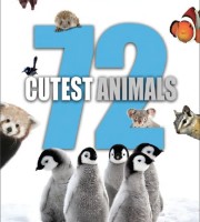 亲子纪录片《72大可爱动物 72 Cutest Animals》全12集 英语中字 1080P/MP4/24.8G 可爱的动物