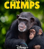 迪士尼纪录片《黑猩猩 Chimpanzee》国英双语中英双字 高码收藏版 1080P/MKV/7.96G 被收养的黑猩猩