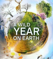BBC纪录片《狂野地球 A Wild Year on Earth》全6集 国英双语中英双字 高码收藏版 4K高清/MP4/20.5G 地球的四季