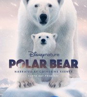 迪士尼纪录片《北极熊 Polar Bear 2022》英语中字 1080P/MP4/2.79G 北极熊母子的故事