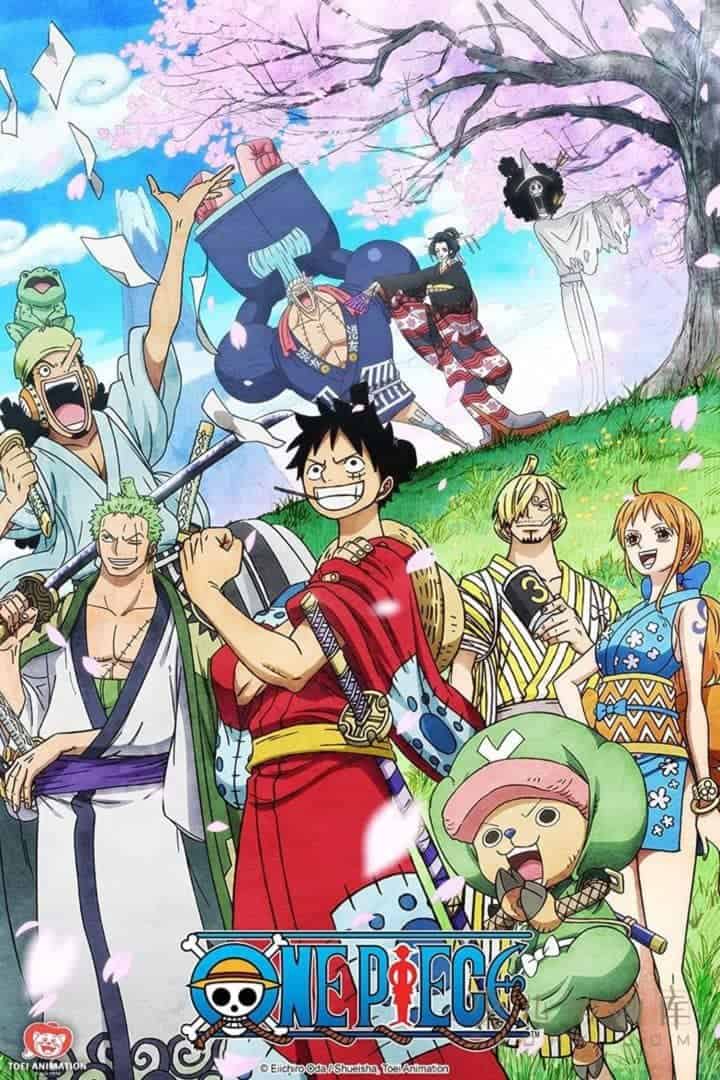 《海贼王/航海王 One Piece》第932-1001集