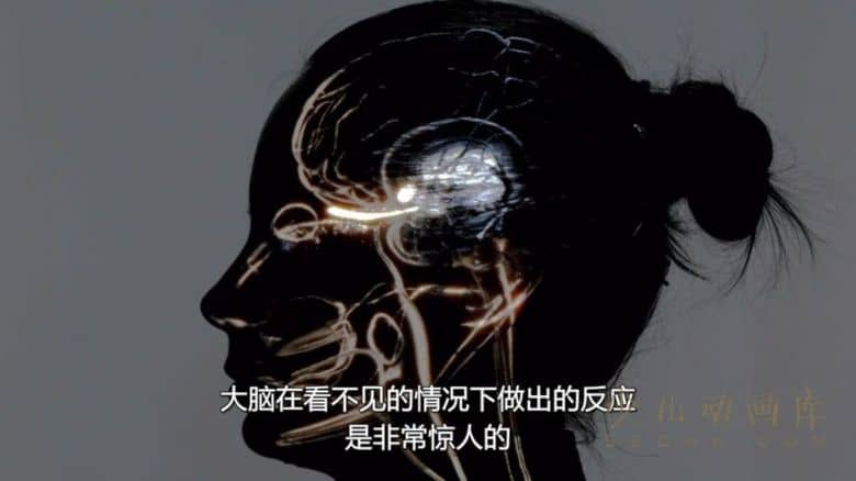 《人类：体内的世界 Human: The World Within 2021》全6集
