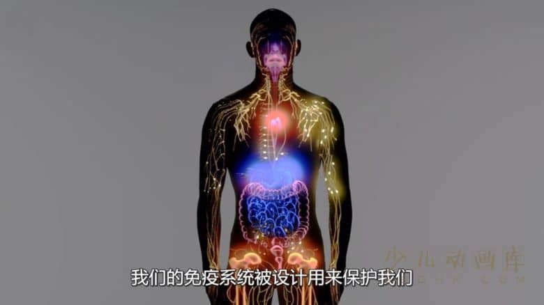 《人类：体内的世界 Human: The World Within 2021》全6集
