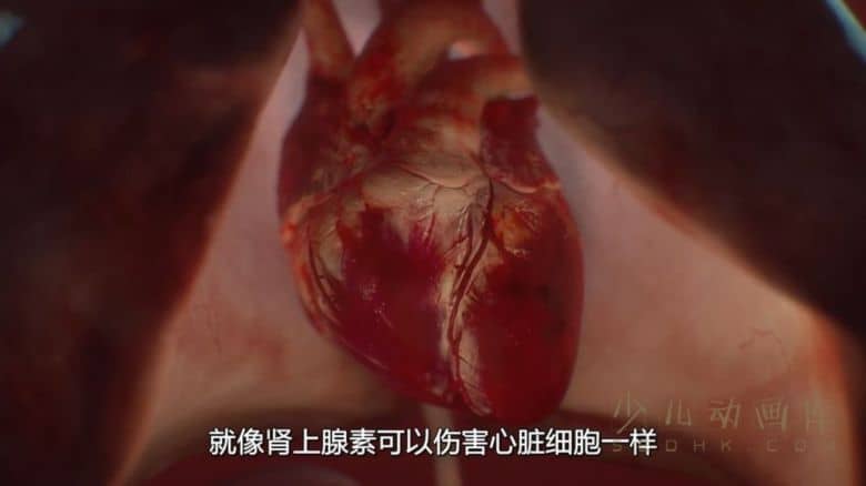 《人类：体内的世界 Human: The World Within 2021》全6集
