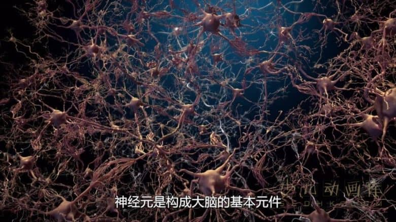 《人类：体内的世界 Human: The World Within 2021》全6集