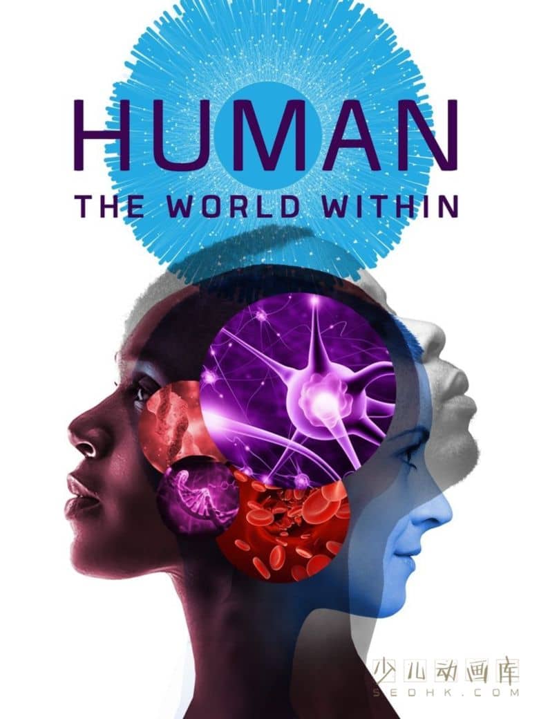 《人类:体内的世界 Human: The World Within 2021》全6集